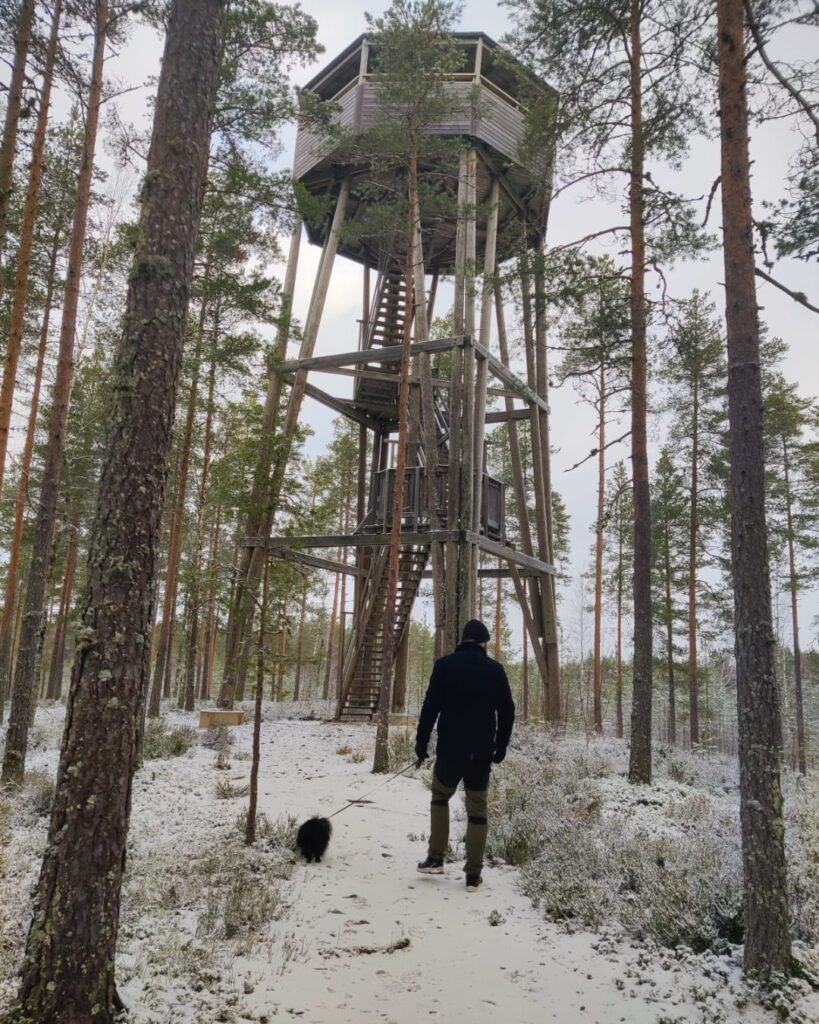 Asumiskokeilijat Siikaisissa