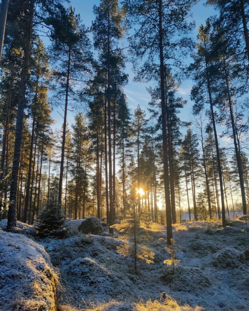 Asumiskokeilijat Siikaisissa